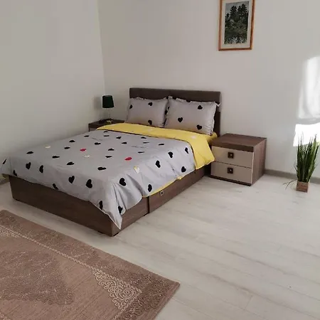 Guest house Fontana Erdelyi Vendeghaz 2