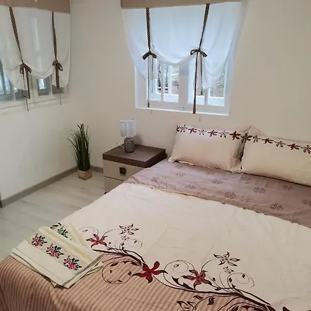 Guest house Fontana Erdelyi Vendeghaz 2 Satu Mare (Harghita)
