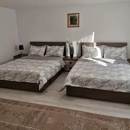 Fontana Erdelyi Vendeghaz 2 Guest house *